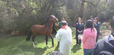 Día de San Francisco de Asís - Escuela de Medicina Veterinaria