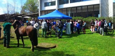 Día de San Francisco de Asís - Escuela de Medicina Veterinaria