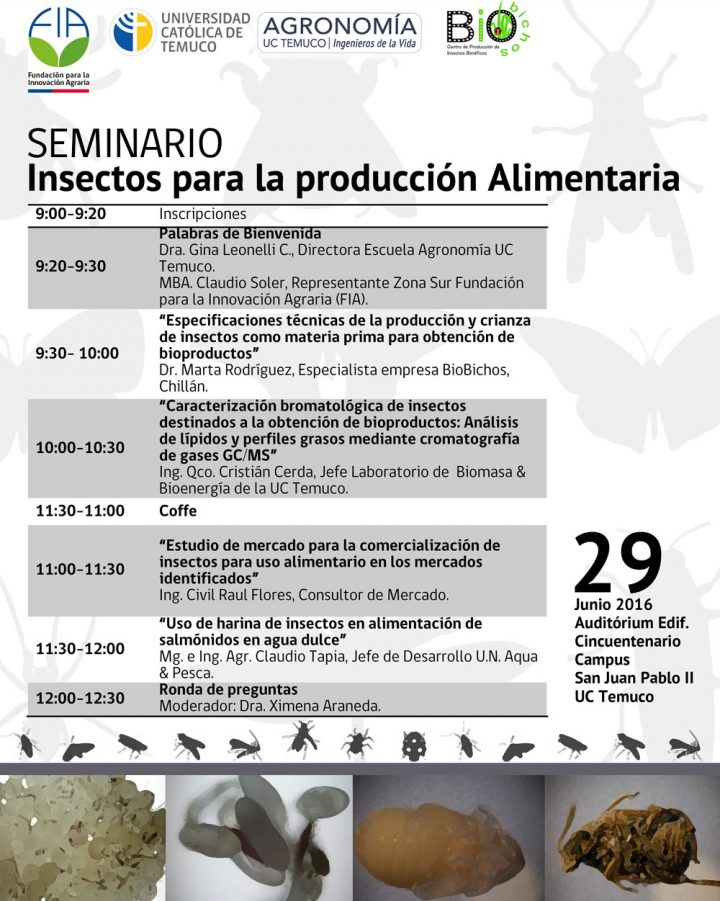 seminario-insectos-programa