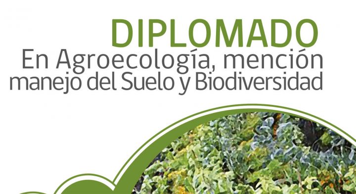 Escuela de Agronomía da a conocer Diplomado en «Agroecología, mención manejo del suelo y biodiversidad»