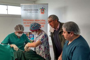 Estudiantes realizan operativo de esterilización de mascotas en Loncoche