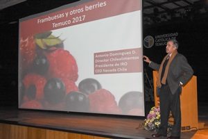 Seminario reúne a más de 400 pequeños productores de Berries en La Araucanía