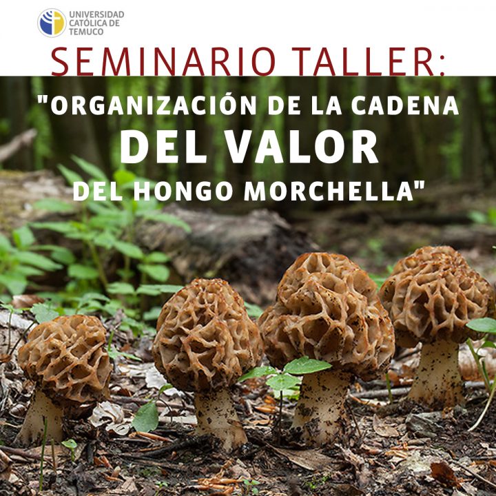 Seminario Taller: «ORGANIZACIÓN DE LA CADENA DEL VALOR DEL HONGO MORCHELLA»