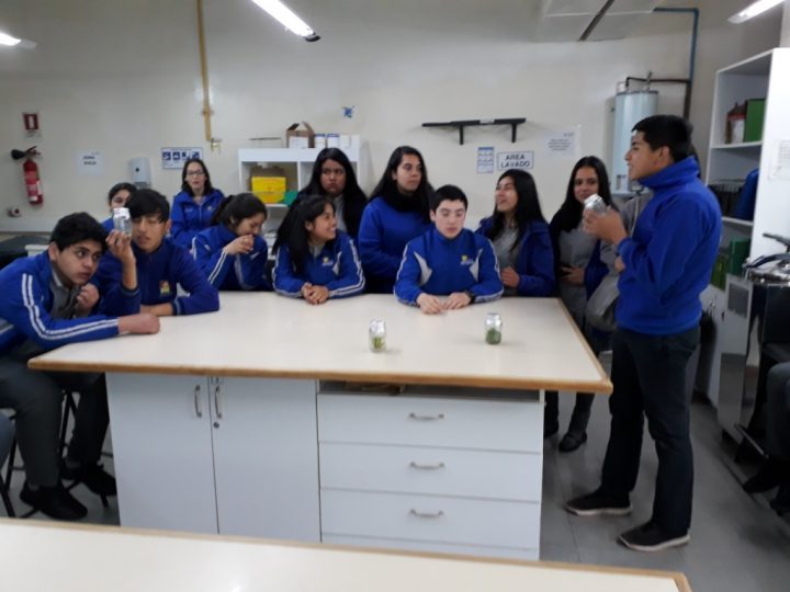 Visita de Alumnos de Padre las Casas a Escuela de Agronomia UCT